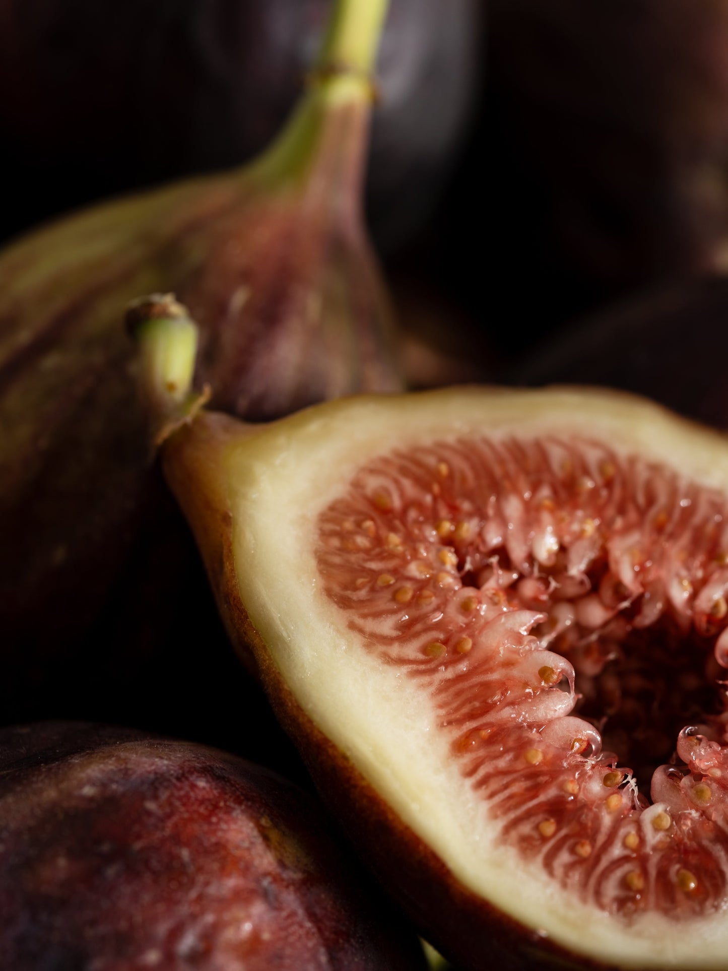 Go Fig-ure