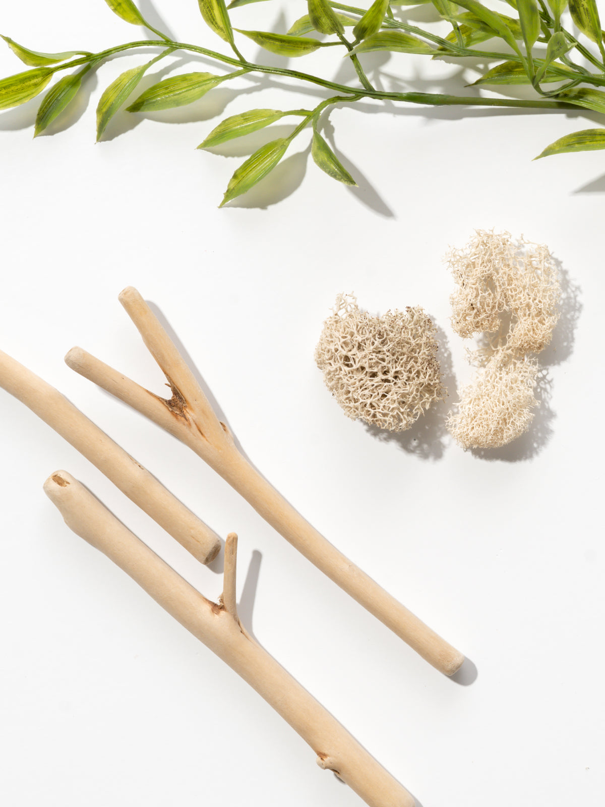 Beach Cottage Smart Home Fragrance Refill, 10mL