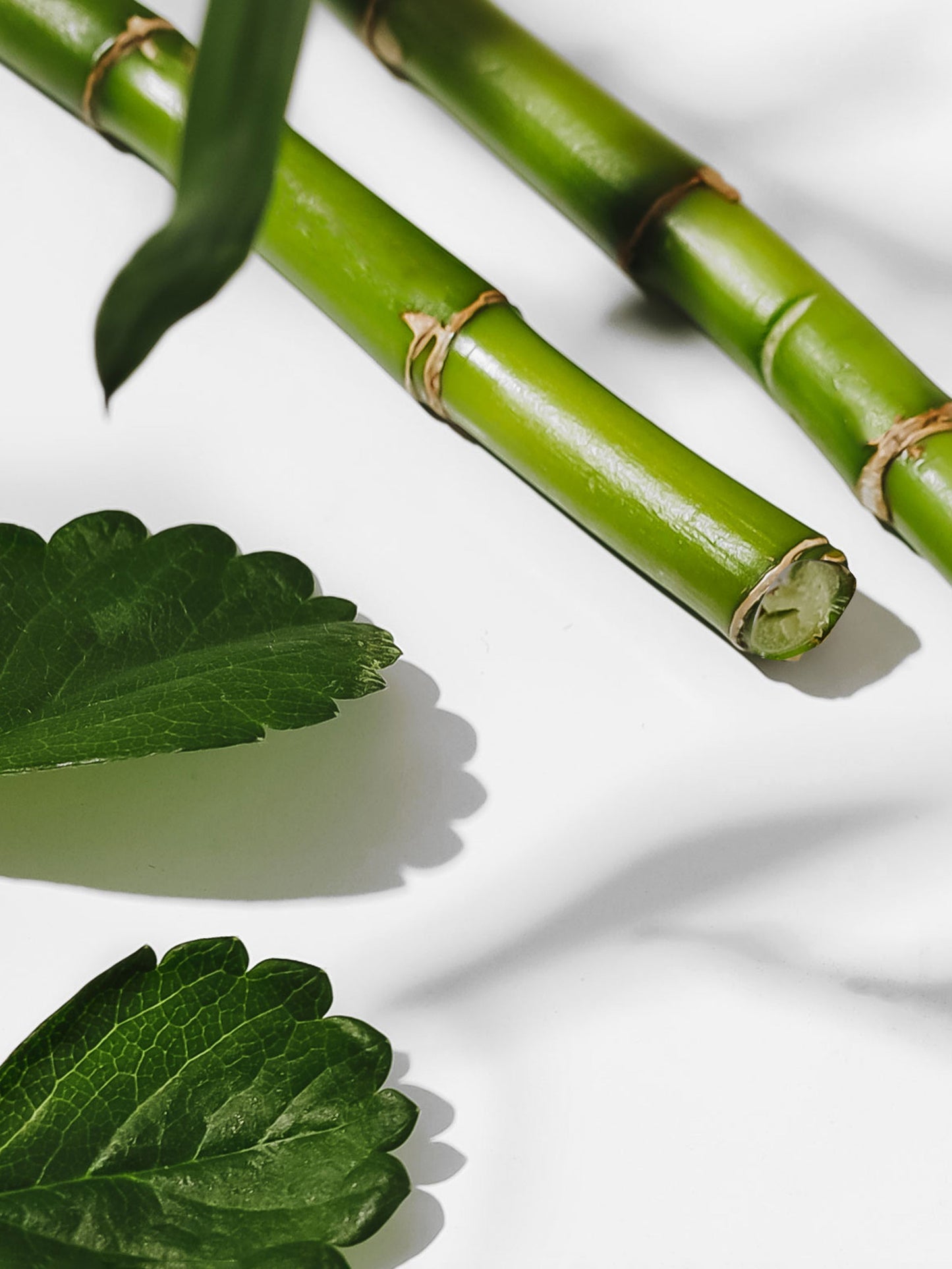 Bamboo Car Fragrance Refill