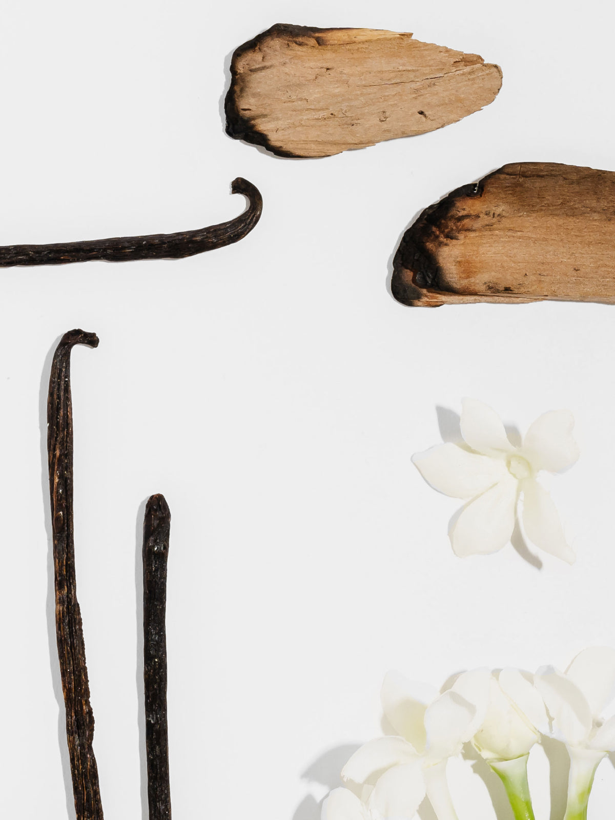 Homebody Smart Home Fragrance Refill, 10mL