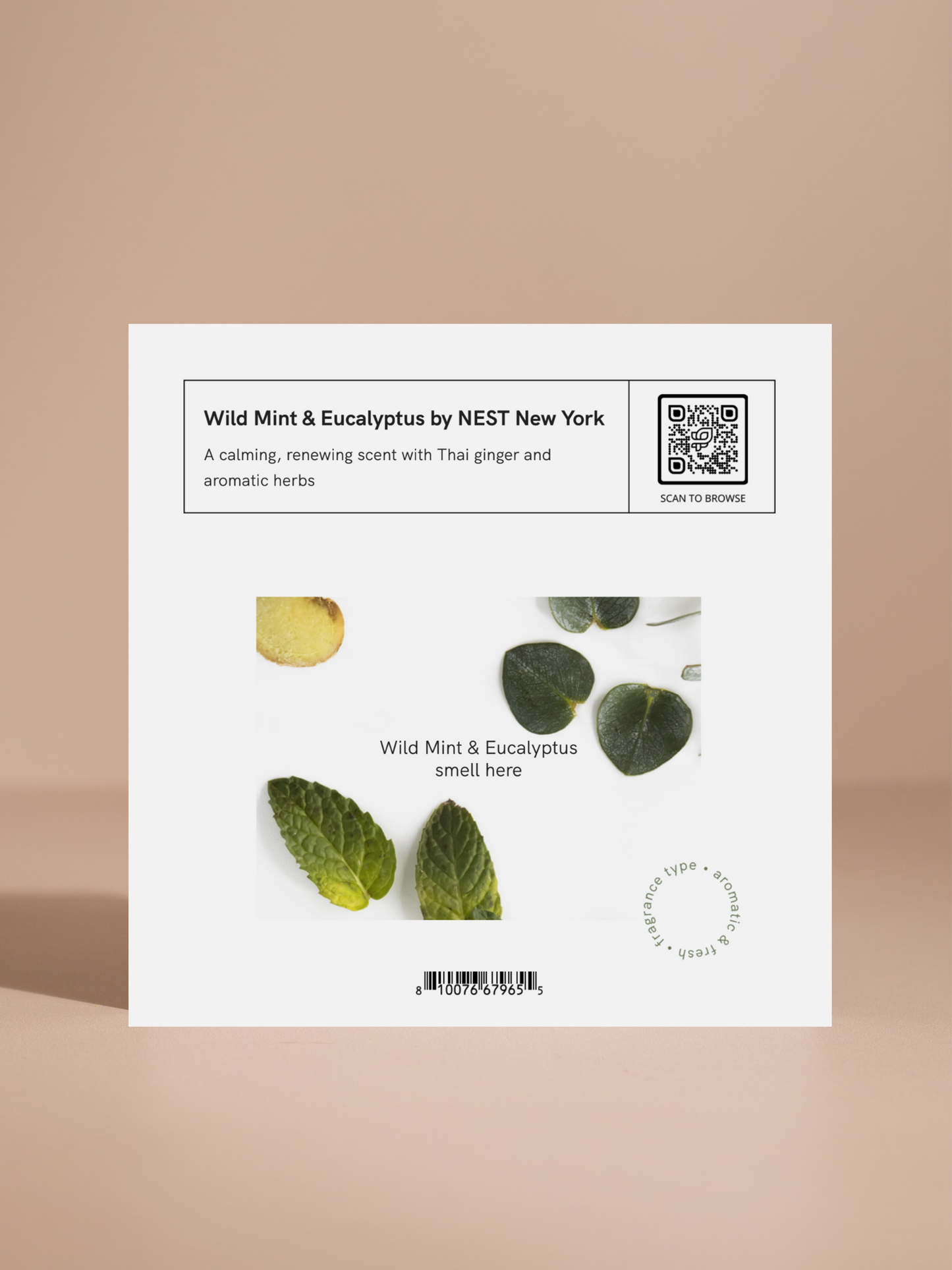 Wild Mint & Eucalyptus