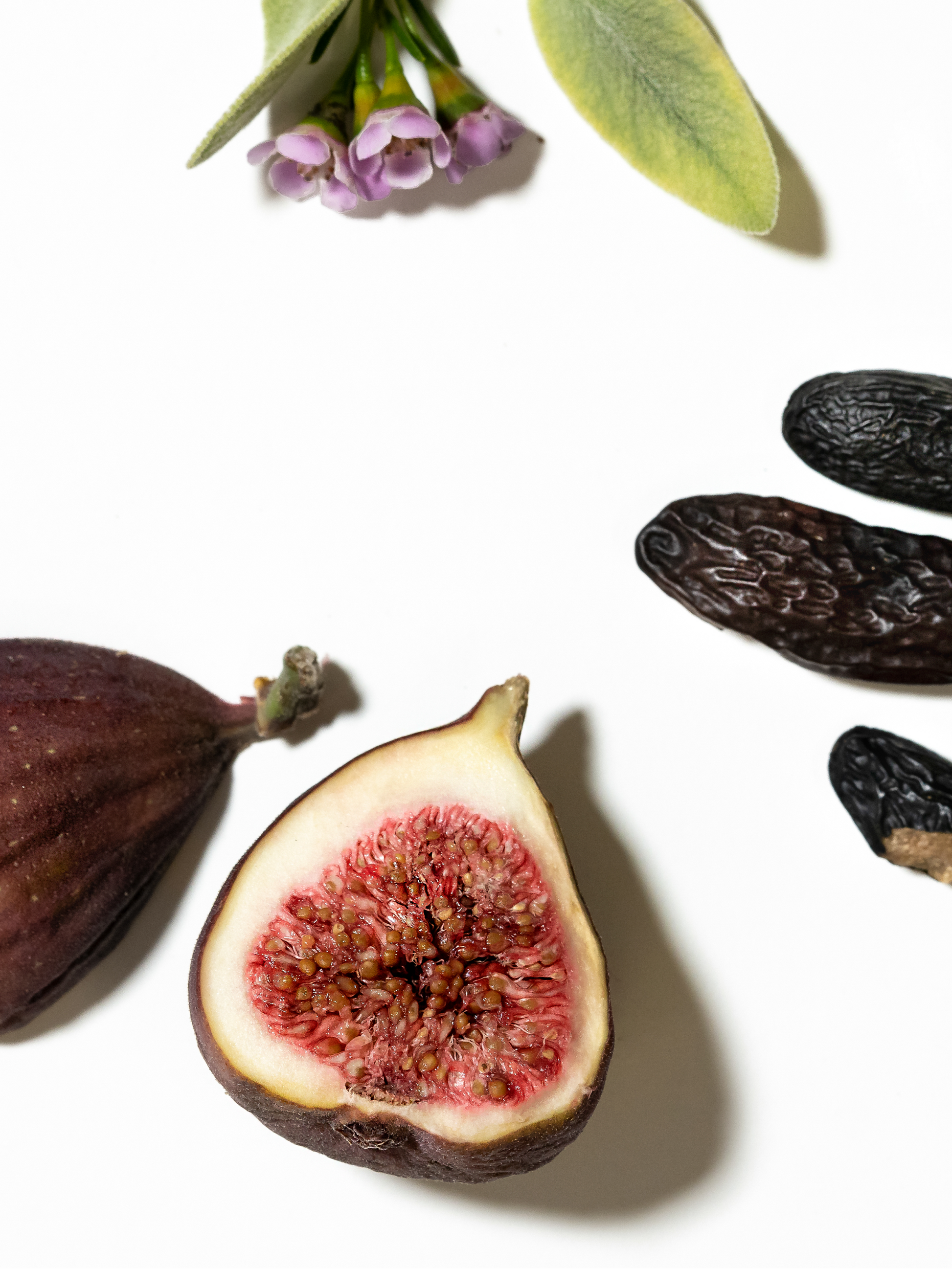 Wild Sage Ingredients