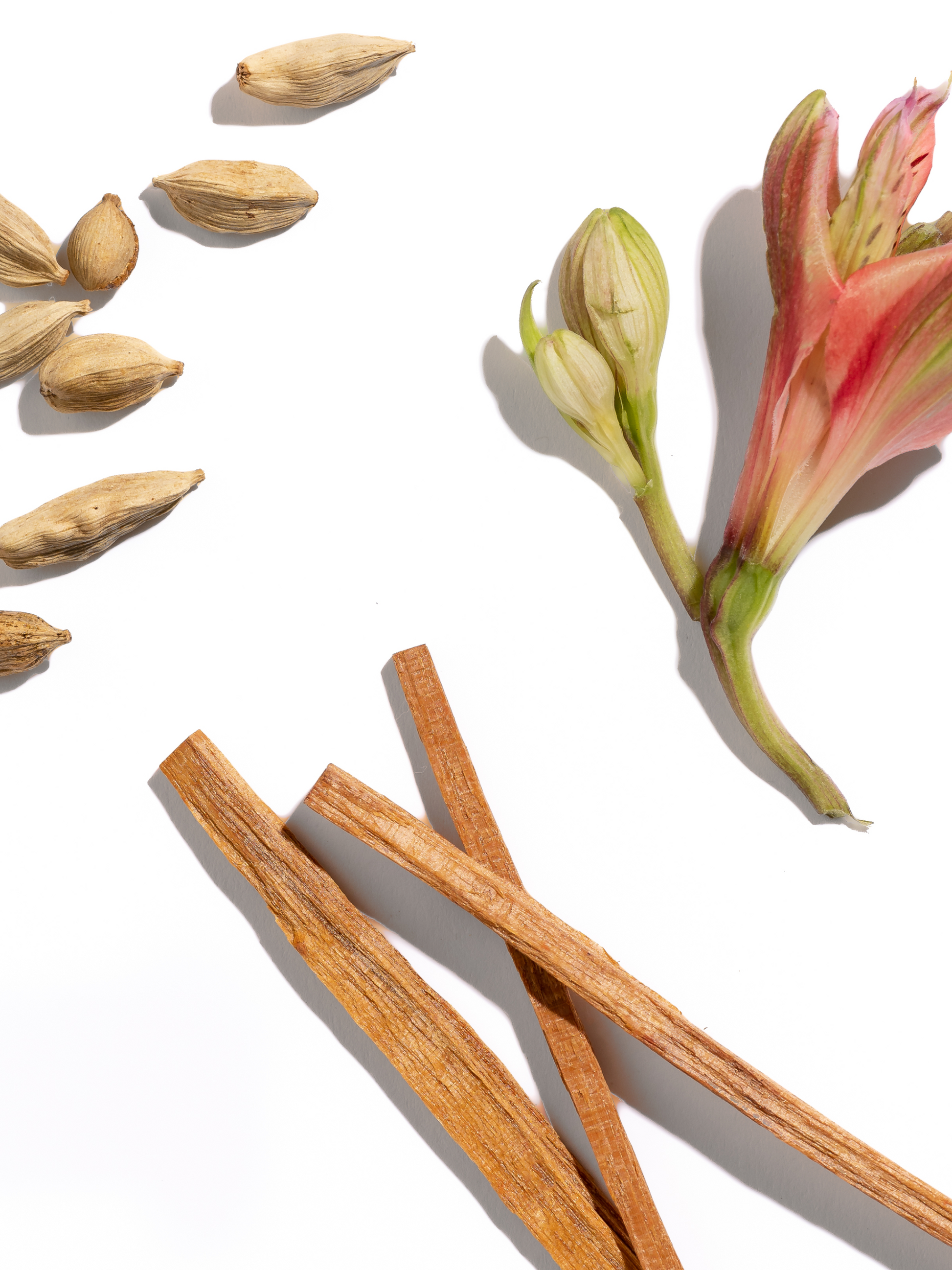 Egyptian Sandalwood Smart Home Fragrance Refill, 10mL