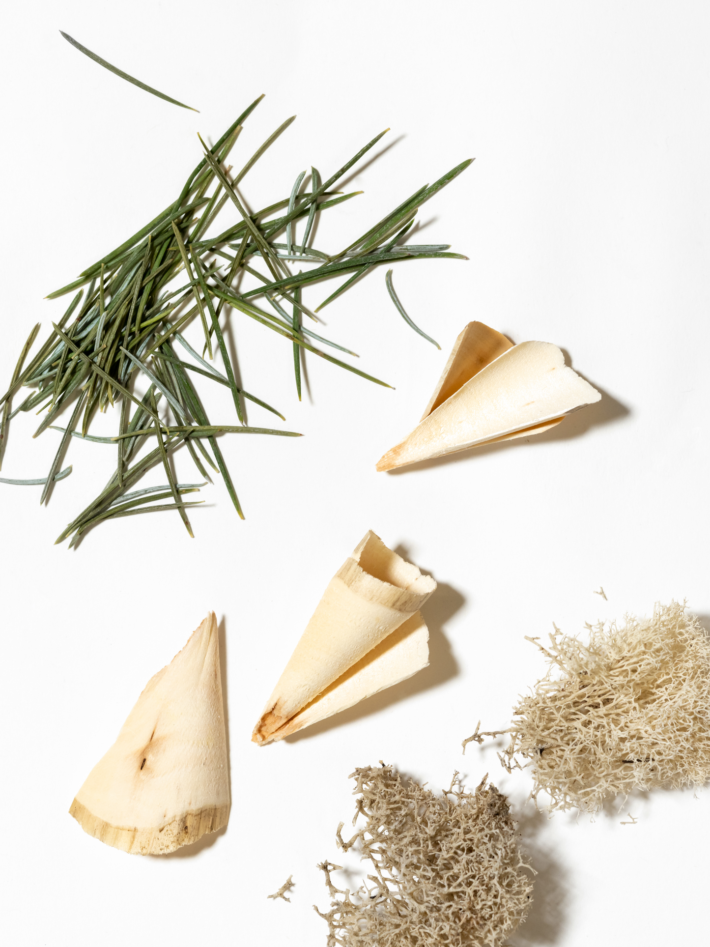 Gone Hiking Smart Home Fragrance Refill, 10mL