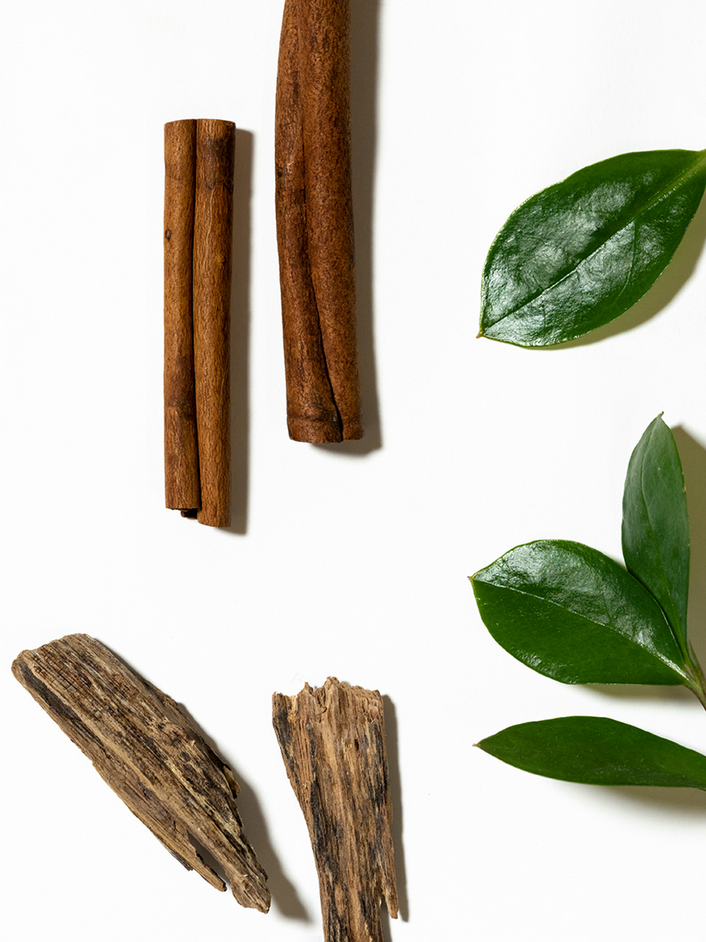 Home Office Smart Home Fragrance Refill, 10mL