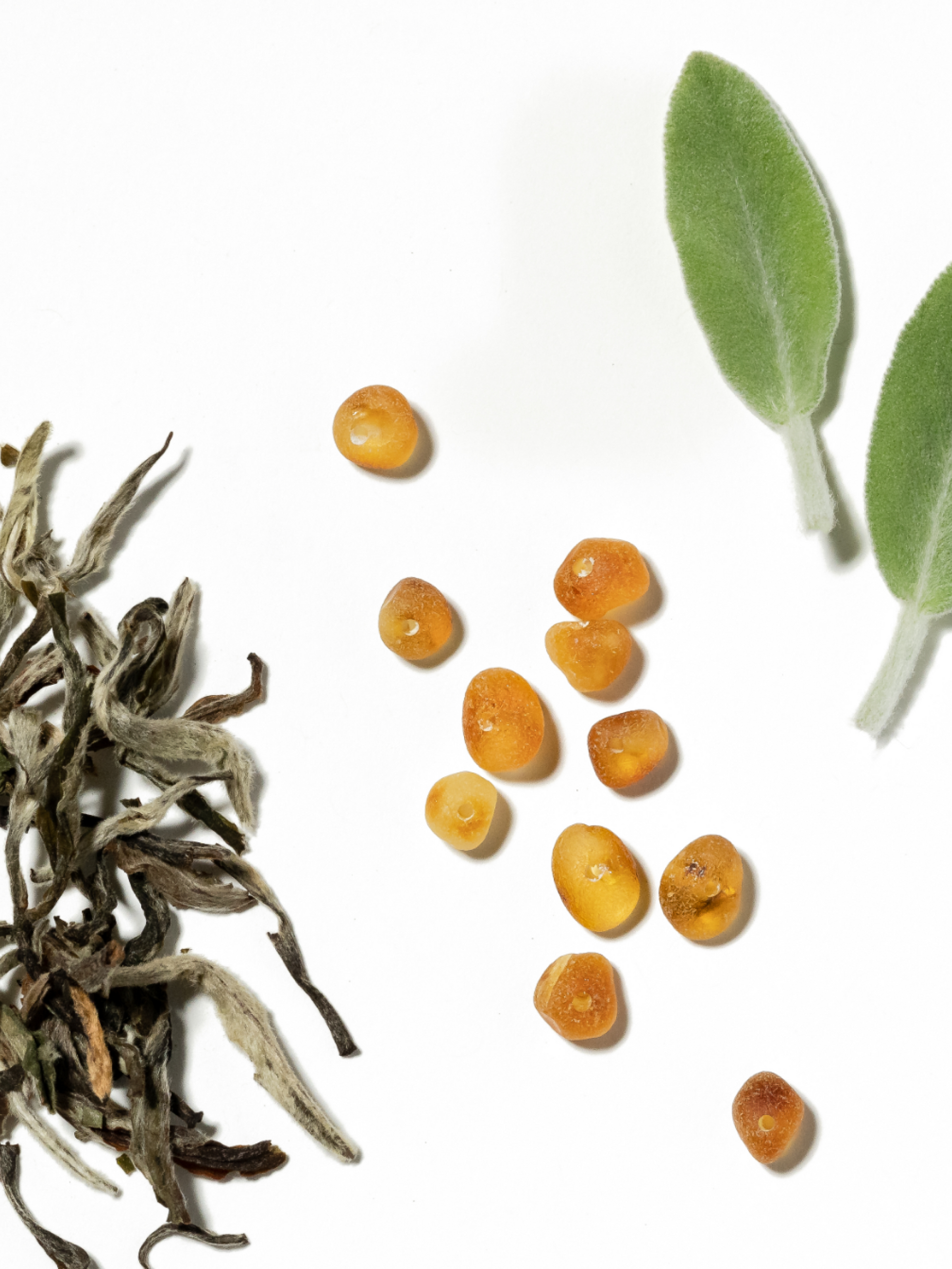 White Tea No. 1 Smart Home Fragrance Refill, 10mL