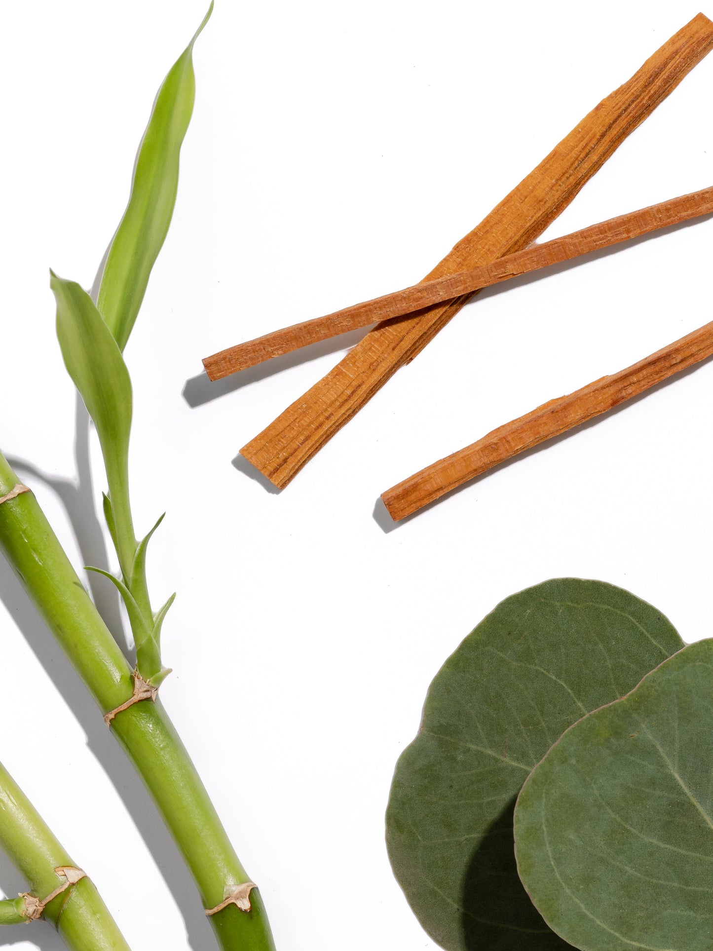 Bamboo Forest Smart Home Fragrance Refill, 10mL