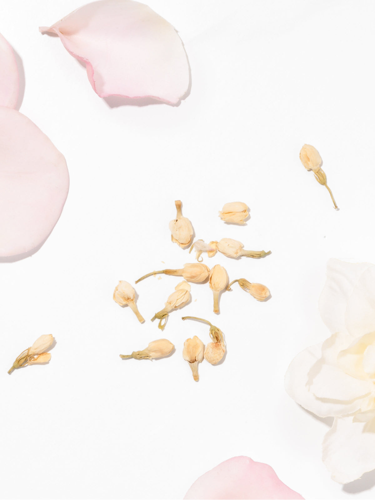 Goldleaf Gardenia