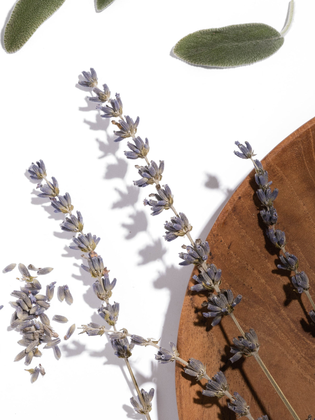 Lavender Ingredients