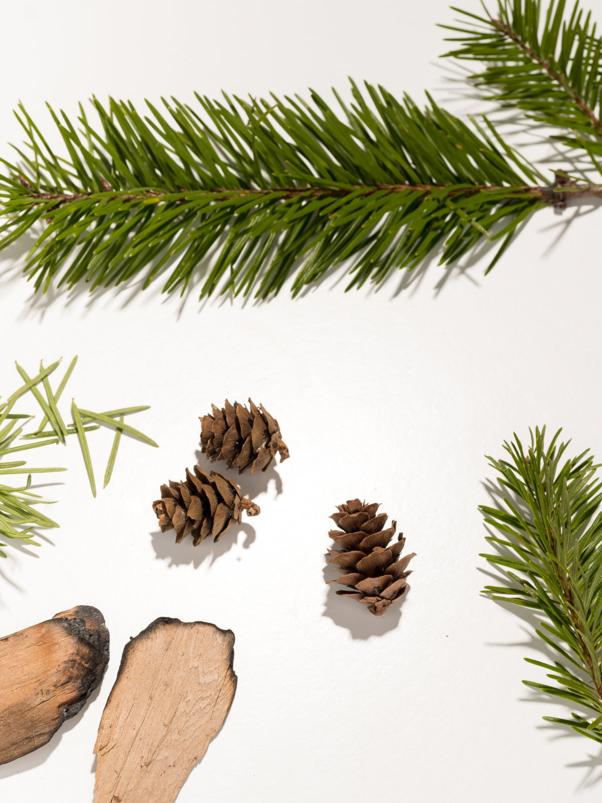 Roland Pine Ingredients