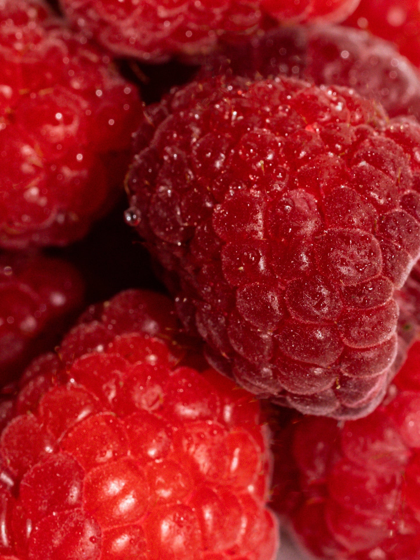 Mickey Mouse Chocolate Truffle