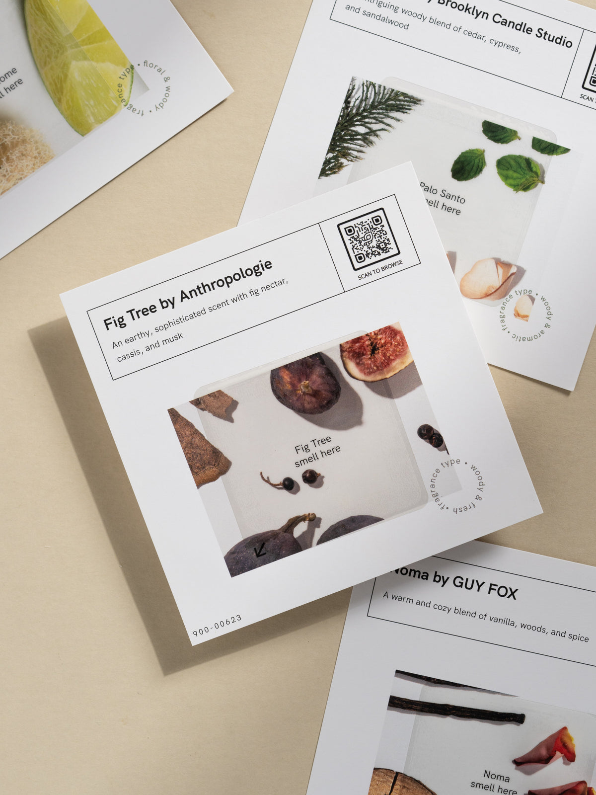 Free Scent Sample Bundle